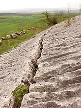 Sloping Limestone beds in Yorkshire, showing cracks and solution runnels.